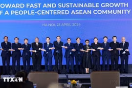 越南加入东盟30周年：凝聚力量 引领合作