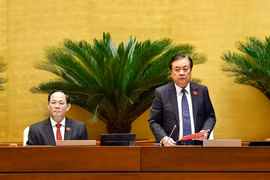 国会副主席黎明欢发表讲话。图自越通社