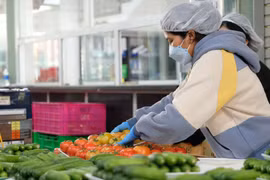 附图。图自越通社