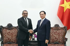 越南政府副总理裴青山会见马尔代夫外交部长阿卜杜拉·哈利勒。图自越通社