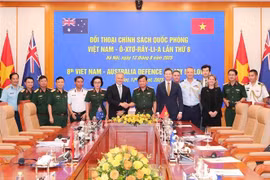 出席政策对话的双方代表。图自越通社