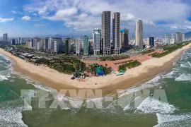  岘港——全球金融倡议的开放空间。图自越通社