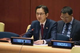 越南常驻联合国代表团团长杜雄越发表讲话。图自越通社