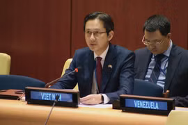 越南常驻联合国代表团团长杜雄越发表讲话。图自越通社