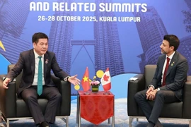 越南工贸部长阮鸿延与加拿大国际贸易部长曼尼德·西杜举行了双边会晤。图自越通社