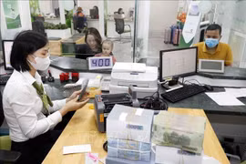 附图。图自越通社