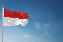 印尼国旗。图自互联网