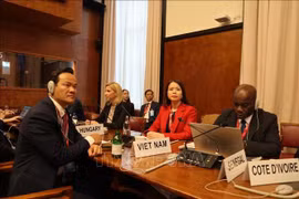 越南外交部副部长阮明姮出席会议。图自越通社