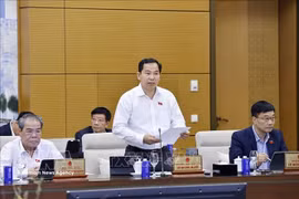 越共中央委员、国会秘书长、国会办公厅主任、国家选举委员会办公室主任黎光孟。图自越通社