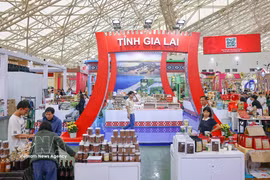 嘉来省的展区。图自越通社