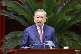 苏林总书记在会上发表讲话。图自越通社