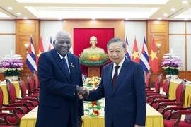 苏林总书记会见古巴全国人民政权代表大会主席兼国务委员会主席埃斯特万·拉索·埃尔南德斯。图自越通社