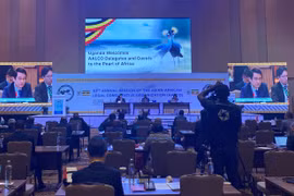 越南外交部副部长黎英俊在会上发表讲话。图自越通社