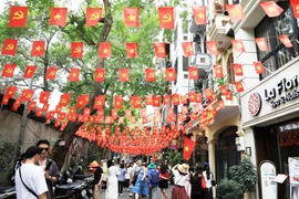 附图。图自新河内报