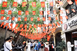 附图。图自新河内报