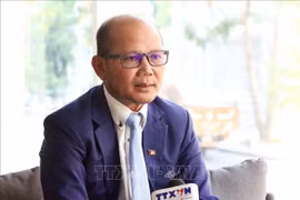 柬埔寨皇家科学院国际关系研究所亚非中东司代司长乌奇·莱昂。图自越通社