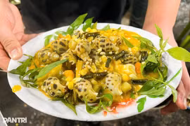 各式花样诱人的螺类美食，吸引食客品尝。图自越通社