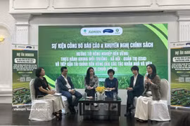 各位专家进行交换意见。图自越通社