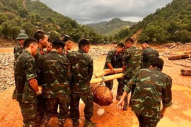 奠边省洪水地区的一枚未爆炸弹被安全移除。图自奠边报