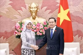 越南国会主席陈青敏会见AIPA秘书长西蒂·罗扎伊梅里扬蒂·拿督哈芝·阿卜杜·拉赫曼。图自越通社