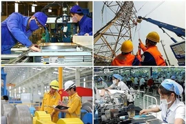 附图。图自政府报