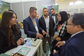 越南商务处了解阿尔及利亚市场的信息。图自越通社