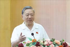 苏林发表讲话。图自越通社