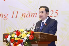陈青敏在会上发言。图自越通社