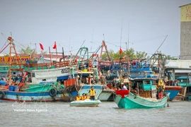 附图。图自越通社