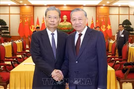 越共中央总书记苏林会见中国全国人大常委会委员长赵乐际。图自越通社