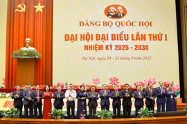 国会主席陈青敏与各位代表合影。图自越通社