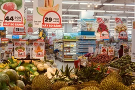 附图。图自越通社