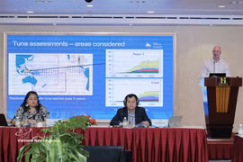 越南水产与渔政局同东亚与西太平洋可持续渔业管理项目管理委员会在庆和省联合举办国家研讨会。图自越通社