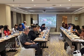 越南九龙江三角洲旅游促进会议现场。图自越通社