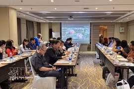 越南九龙江三角洲旅游促进会议现场。图自越通社