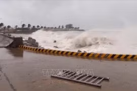 第13号台风导致广义省李山岛海浪高涨。图自越通社