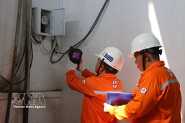 胡志明市电力总公司为5000多个选举服务点保障电力供应