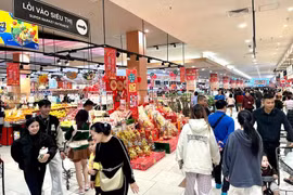 附图。图自越通社