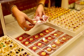 附图。图自越通社