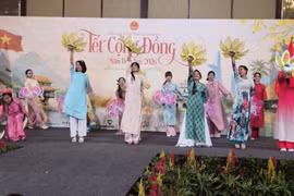2026年丙午春节：越南春节温情在海外越南人社群中广泛传递