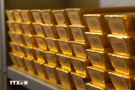附图。图自越通社