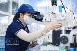 附图。图自越通社