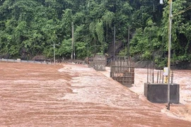 广治省遭受强降雨和洪涝灾害影响。图自越通社