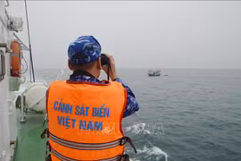 海洋法的执行：各种挑战和解决方案