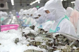 附图。图自互联网