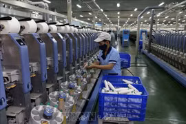 附图。图自越通社