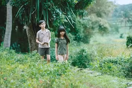 活动上播放的电影《我看见黄花在绿草中摇曳》。