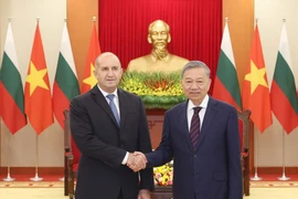保加利亚总统鲁门·拉德夫于2024年12月访问越南期间会见了越共中央总书记苏林。图自越通社