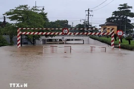 顺化市多处道路中断。越通社