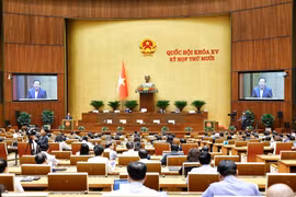 国会审议关于投资兴建嘉平国际机场项目的投资主张。图自越通社